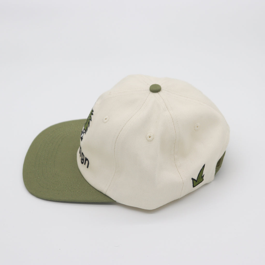 Product Photography Package