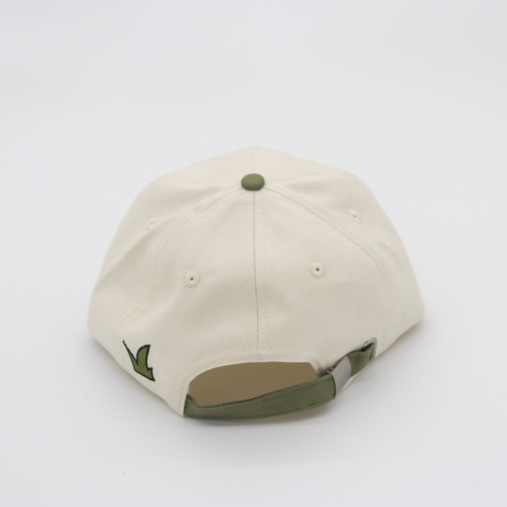 Product Photography Package